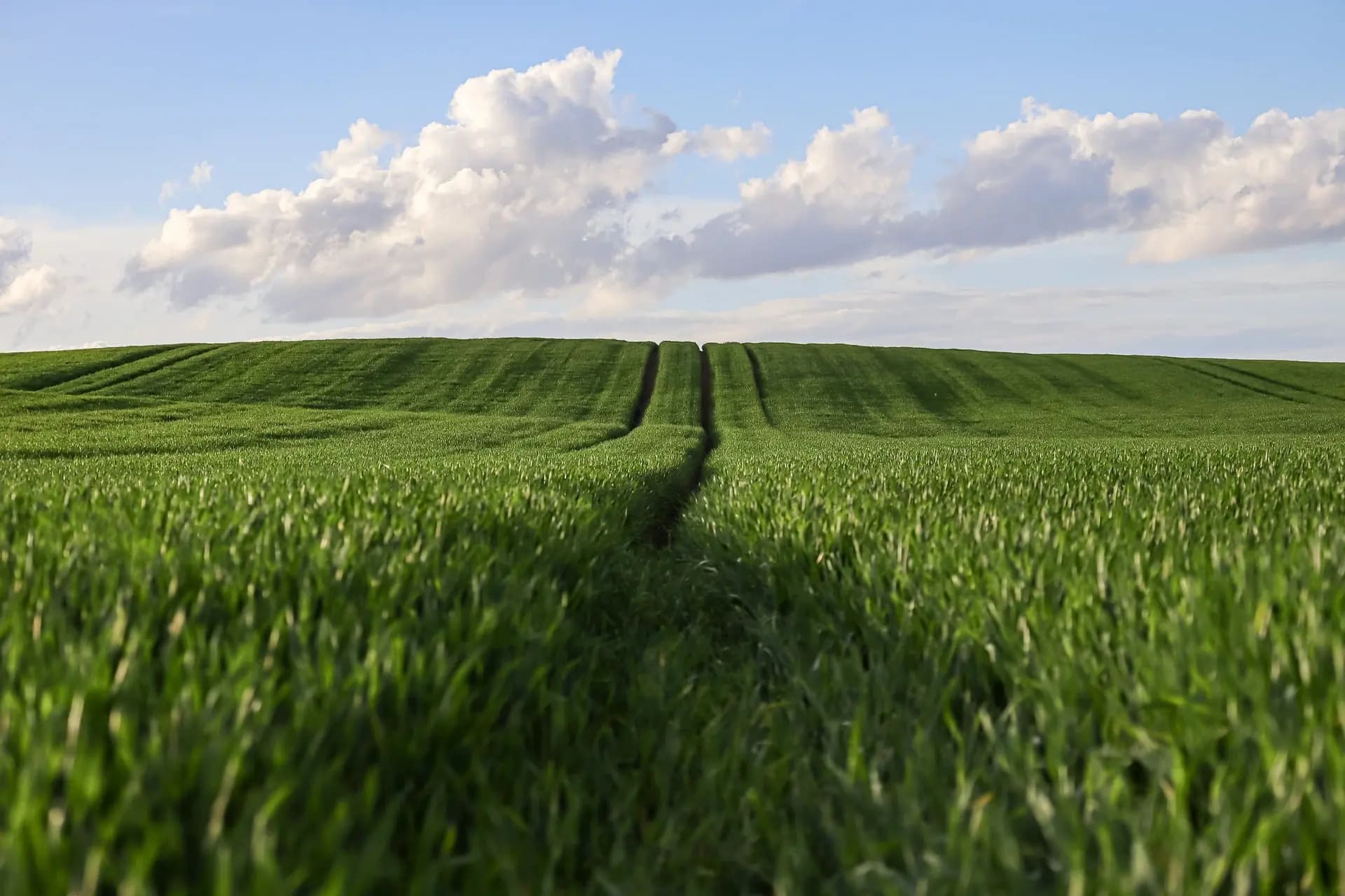 We assess your land and farming systems on the ground